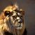 Richard Deane Murray's profile image