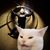 Susanne Campbell-Vincent's profile image