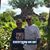 Paula C DiPaola's profile image