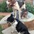 Debbie Livingston-Radke's profile image