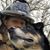 Kathy Haas's profile image