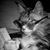 Ron Briones's profile image