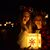Jessica Farris's profile image