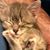 Deb Bleeke Sanjour's profile image