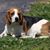 Donna L. Gibson's profile image