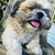 Rob Gilbert's profile image