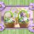 Patty Custer Lincoln's profile image
