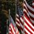 Barbara Mullin Schreier's profile image