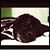 Rachel Harris's profile image