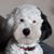 Carol DiMaggio Vizcarra's profile image
