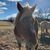Dawn Martincheck's profile image