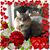 Lisa Clark's profile image