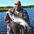 Mike Zilka's profile image