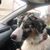 Maureen Collins Hural's profile image