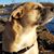 Joseph W. Gallicchio's profile image