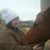 Jill Brown's profile image