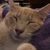 Colleen Daugherty's profile image