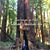 Gabriela Griv's profile image