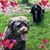 Carolyn Stanley's profile image