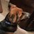 Carrie Bryan Atkins's profile image