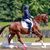 Jennifer B. Duiven's profile image
