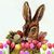 Cindy Eubanks's profile image