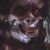 Adam Wing's profile image