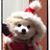 Chang Kailli's profile image
