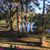 Maggie Sammons's profile image