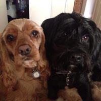 Patrick Odonnell's profile image