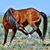 Andi Harmon's profile image
