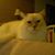 Cheryl Harrison Nettles's profile image
