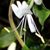 Karrie Beck Schenk's profile image