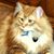 Bernie Winegrad's profile image