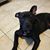 Becky Welk's profile image