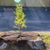 Cheryl Reed's profile image