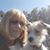 Theresa E Girard's profile image