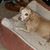 Michelle Welch-Waggoner's profile image