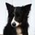 John Sergent's profile image