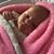 Michelle Morris's profile image