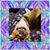 Laura Lundquist's profile image