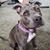 Amy Blaser Finley's profile image