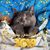 Dawn Osterberg's profile image