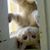 Enette Wigginton's profile image