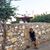 Gulsum Apaydın's profile image