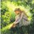 Monica Cavanaugh's profile image