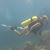 Kathy Meloche's profile image