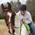Maggie O'Toole's profile image