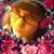 Jennifer Hovis's profile image