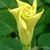 Donna Engelbert's profile image